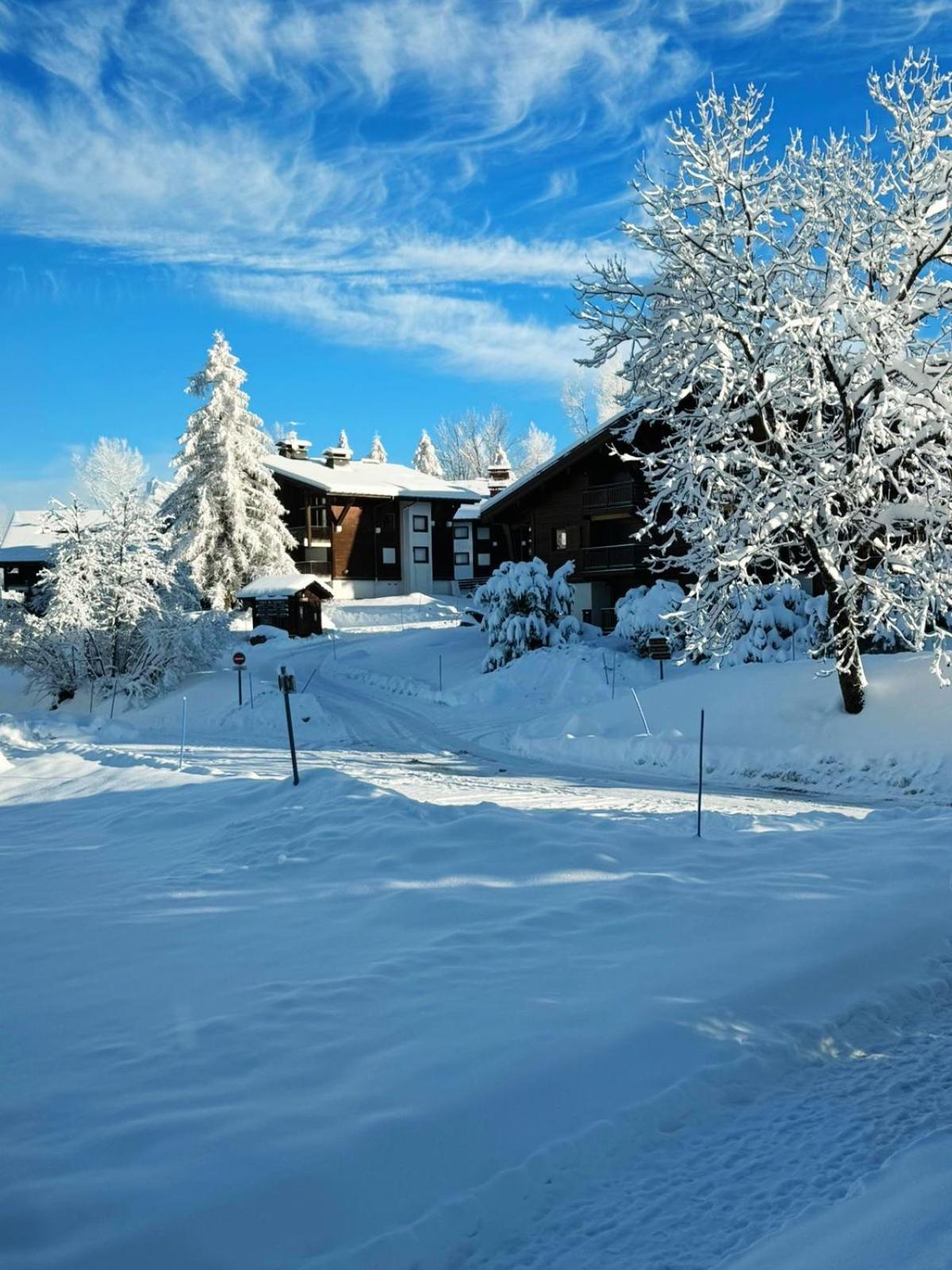 Le Flocon Du Mont Darbois Classe 3 Etoiles Megève Exteriör bild